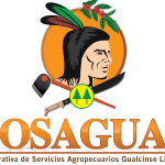 Logo COSAGUAL 2