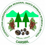 Logo Carsbil
