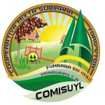 logo comisuyl
